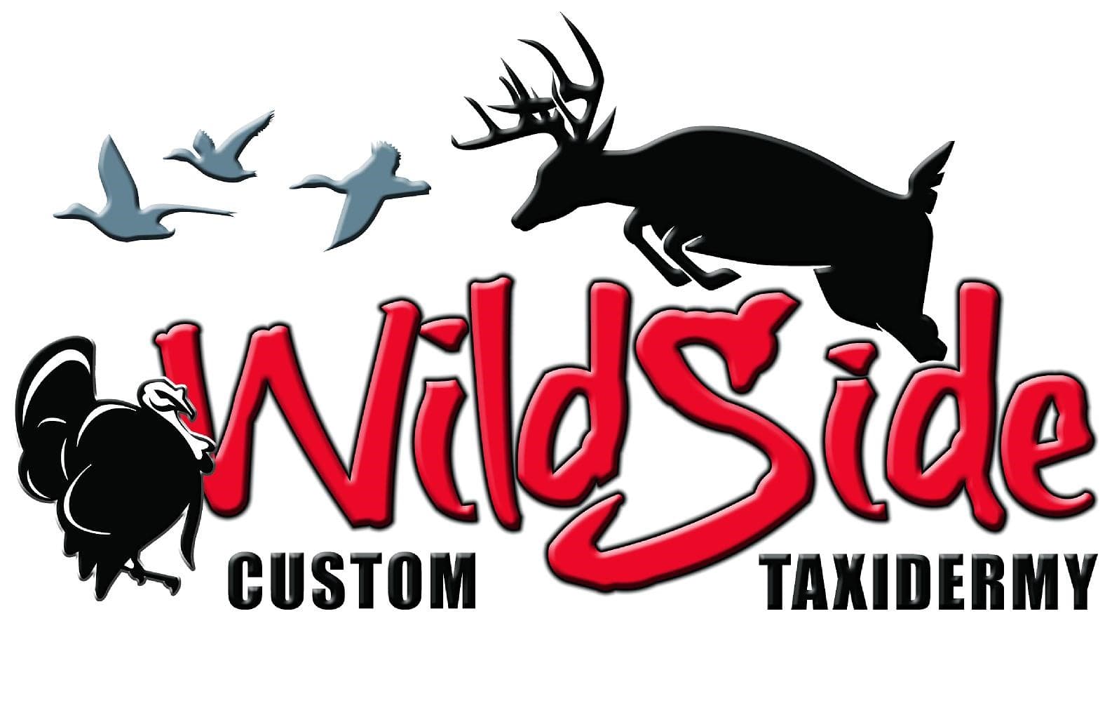 Wildside Custom Taxidermy project example showcasing HTML, CSS, JavaScript, React, and SEO skills