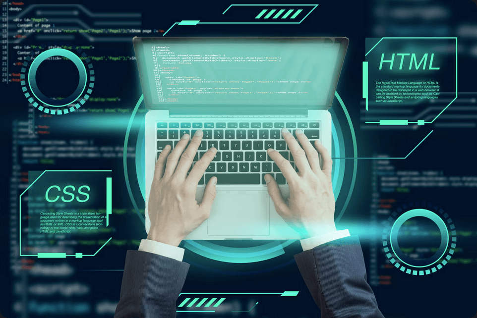 Preview image for Why Work With a Professional Web Developer?